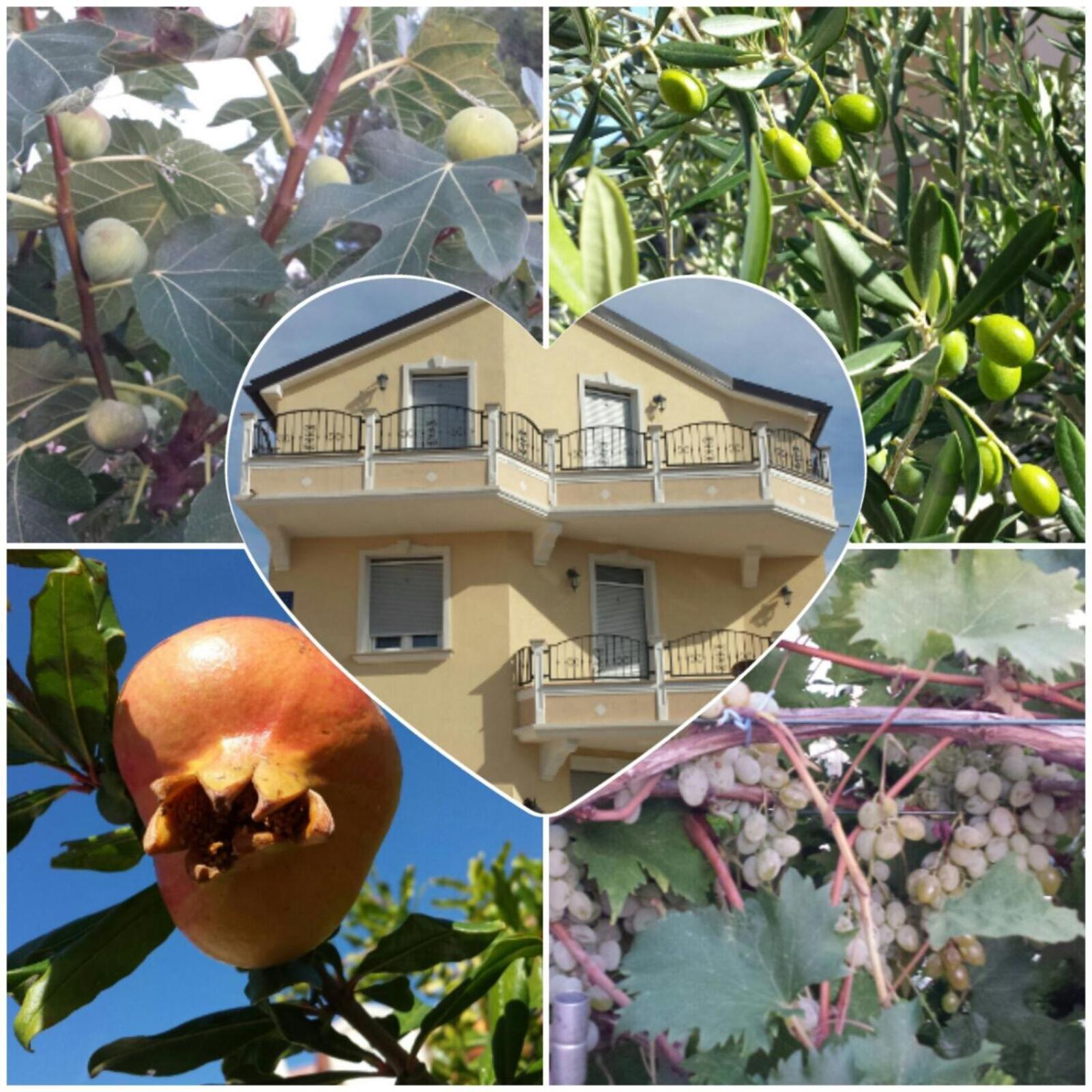 Villa Magdalena โวดีเซ ภายนอก รูปภาพ